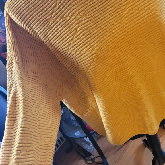 Divided Mustard Color RIbbed Sweater - Picture 6 of 8